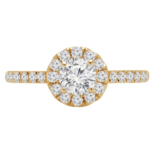 4/5 CTW Round Diamond Cathedral Halo Engagement Ring in 14K Yellow Gold (MD210344)