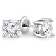 Round Lab Created Diamond 4-Prong Stud Earrings in 14K White Gold with Screwback (MVSE2002-W)