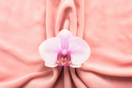 Clitoral Vibrators: Benefits and Usage Guide