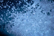 Female Ejaculation Explained: Squirting 101