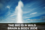 The Big O: A Wild Ride Through the Body and Brain!