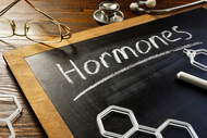 The Role of Hormones in Sexual Health