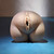 Pocket Pleaser  - Light Pocket Pleaser  - Light