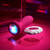 Party Plug Silicone Rechargeable Thrusting Vibrator by Evolved Novelties EN-RS-8293-2