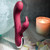 Evolved Novelties Inflatable Bunny - Inflatable G-Spot rabbit vibrator