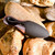 Evolved Novelties Teardrop - Petite teardrop shaped vibe Evolved Novelties Teardrop - Petite teardrop shaped vibe