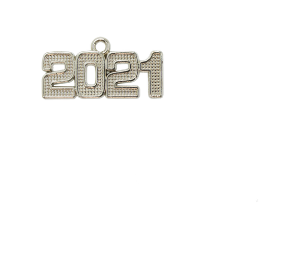 Silver Year Charm (not actual silver) Silver Year Charm (not actual silver)