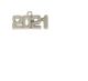 Silver Year Charm  (not actual silver)