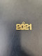 Gold Year Charm  (not actual gold)
