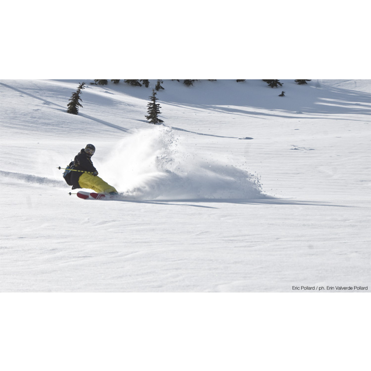 Line Eric Pollard- EP Pro Skis 185cm