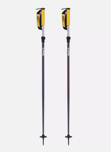 Line Paintbrush Ski Poles 2026 Line Paintbrush Ski Poles 2026
