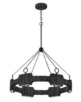 Hinkley Raffi LED Chandelier in Carbon Black - 34106CBK