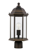 Generation Lighting Sevier One Light Outdoor Post Lantern in Antique Bronze - 8238651EN3-71