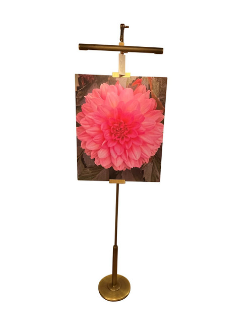 House of Troy River North LED Floor Lamp in Antique Brass/Satin Brass - RN300-AB/SB