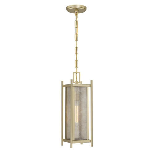 Savoy House Jacobs One Light Outdoor Hanging Lantern in Serene Brass - 5-3806-344