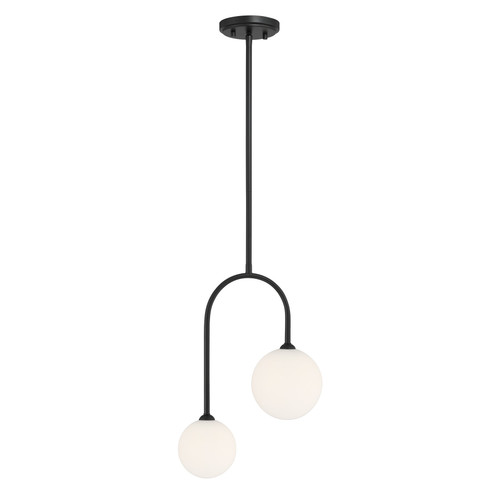 Savoy House Chester Two Light Pendant in Matte Black - 7-5981-2-89