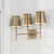 Capital Lighting Whitney Three Light Vanity in Aged Brass - 149731AD-708
