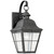 Generation Lighting Chatham One Light Outdoor Wall Lantern in Oxidized Bronze - 8462-46