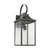 Generation Lighting Say brook One Light Outdoor Lantern in Antique Bronze - GLO1031ANBZ