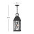 Hinkley Briar LED Hanging Lantern in Museum Black - 23302MB