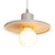 Justice Designs Radiance One Light Pendant in Matte White with Champagne Gold - CER-6325-MTGD-NCKL-WTCD