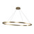 Kuzco Lighting Ovale LED Linear Pendant in Brushed Gold - LP79153-BG