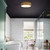 Lucas + McKearn Trellis Three Light Flush Mount in Gold Leaf - FM1238G-16