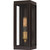 Quoizel Avon One Light Outdoor Lantern in Western Bronze - AVN8305WT
