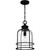 Quoizel Bowles One Light Outdoor Hanging Lantern in Earth Black - BWE1910EK