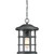 Quoizel Crusade One Light Outdoor Hanging Lantern in Earth Black - CSE1910EK