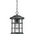 Quoizel Crusade One Light Outdoor Hanging Lantern in Earth Black - CSE1910EK