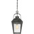 Quoizel Carriage One Light Outdoor Hanging Lantern in Mottled Black - CRG1910MB