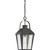 Quoizel Carriage One Light Outdoor Hanging Lantern in Mottled Black - CRG1910MB