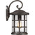 Quoizel Crusade One Light Outdoor Wall Lantern in Palladian Bronze - CSE8410PN