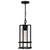 Quoizel Damien One Light Mini Pendant in Earth Black - DMN1507EK