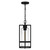 Quoizel Damien One Light Mini Pendant in Earth Black - DMN1507EK