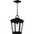Quoizel Huck One Light Outdoor Hanging Lantern in Earth Black - HUK1910EK