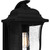 Quoizel Mulberry One Light Outdoor Wall Mount in Matte Black - MUL8409MBK