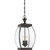Quoizel Oasis Three Light Pendant in Medici Bronze - OAS1509Z