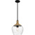 Quoizel Quoizel Piccolo Pendant One Light Mini Pendant in Matte Black - QPPC5603MBK