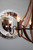 Quoizel Shire Five Light Chandelier in Rustic Black - SHR5005RK