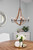 Quoizel Shire Five Light Chandelier in Rustic Black - SHR5005RK