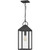 Quoizel Thorpe One Light Outdoor Hanging Lantern in Mottled Black - TPE1908MB