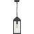 Quoizel Thorpe One Light Outdoor Hanging Lantern in Mottled Black - TPE1908MB