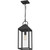 Quoizel Thorpe One Light Outdoor Hanging Lantern in Mottled Black - TPE1908MB