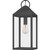 Quoizel Thorpe One Light Outdoor Hanging Lantern in Mottled Black - TPE1908MB