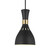 Visual Comfort Studio Joan One Light Pendant in Midnight Black - EP1141MBK