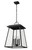 Z-Lite Broughton Four Light Outdoor Chain Mount Ceiling Fixture in Black - 521CHXL-BK