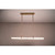 Avenue Lighting Nautilus LED Pendant in Aged Brass - HF7300-AB