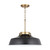 Capital Lighting Oakwood One Light Pendant in Matte Black - 9D331A